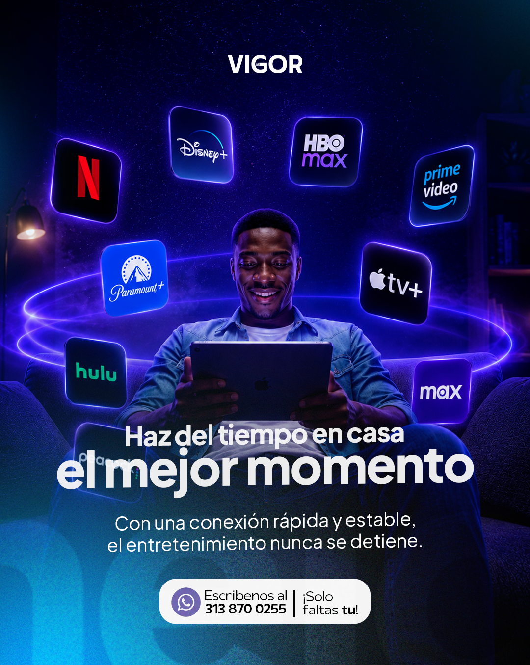 VIGOR - publicación 1