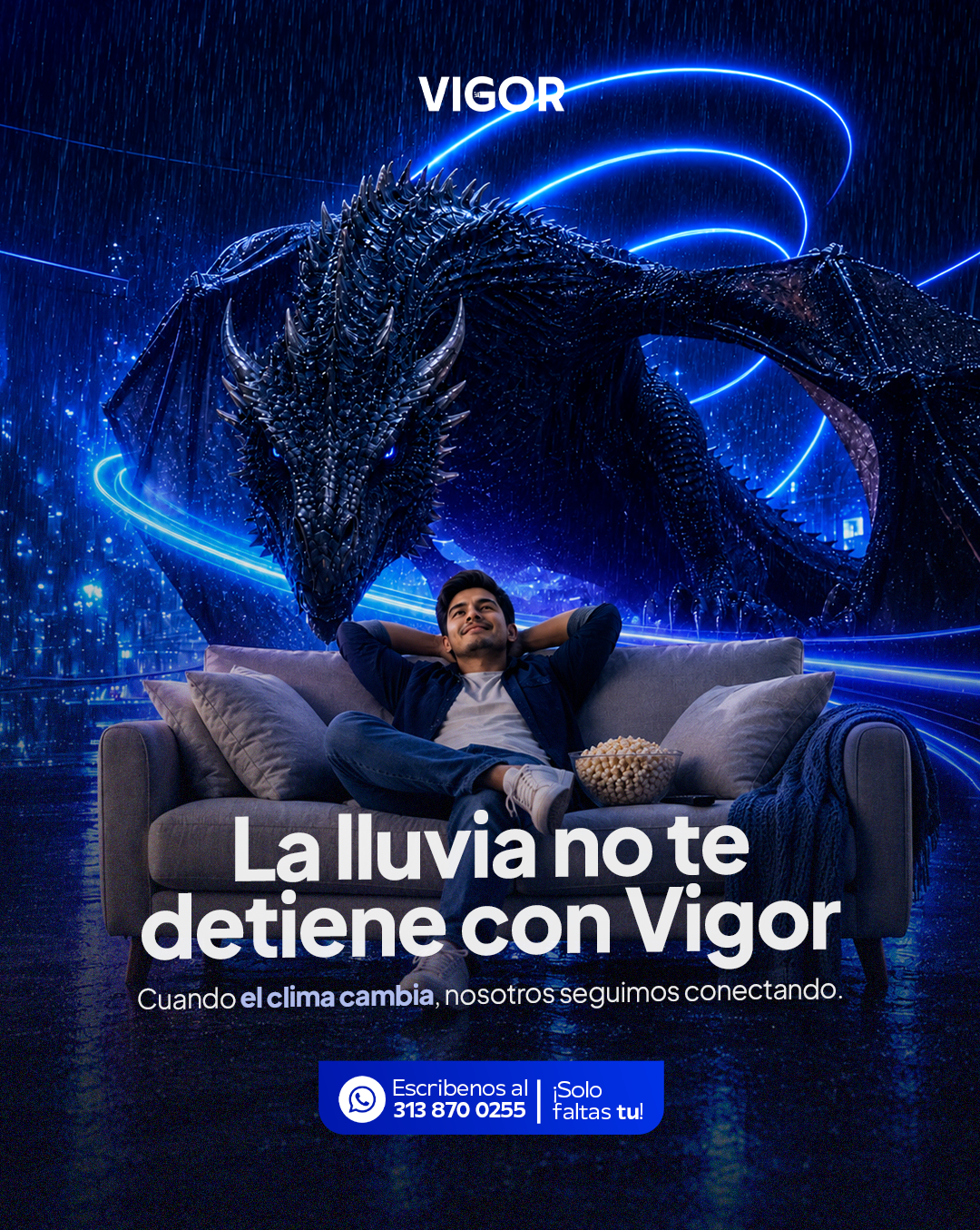 VIGOR - publicación 1