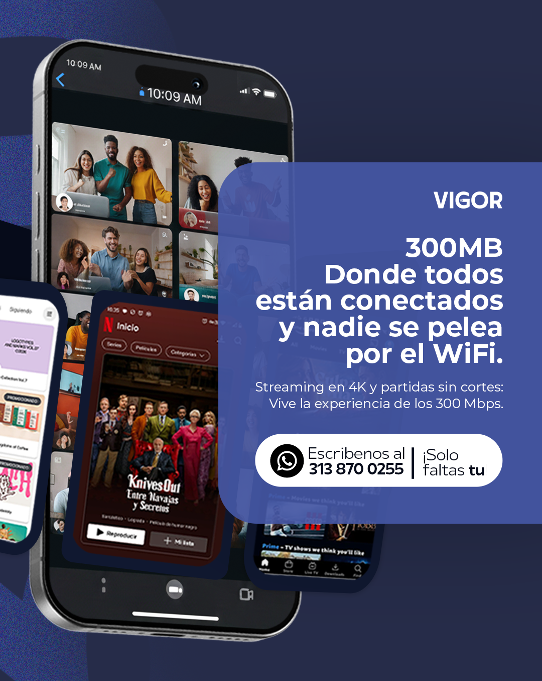 VIGOR - publicación 3